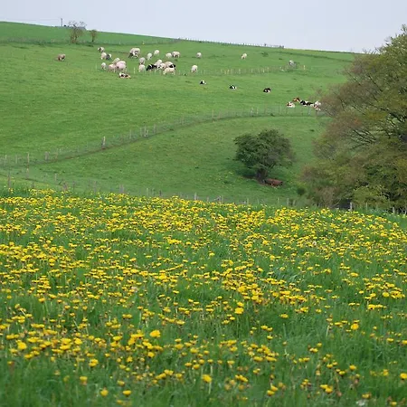 Le A Bonnerue * Houffalize