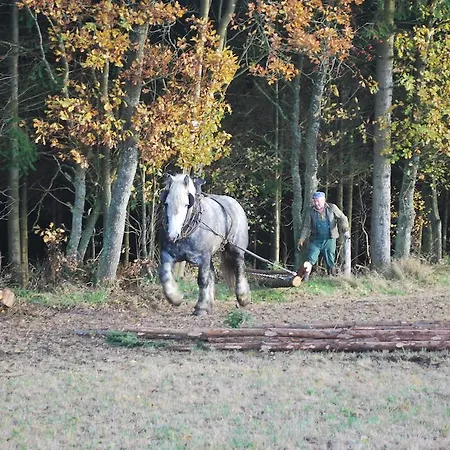 Vakantiehuis Le A Bonnerue Houffalize